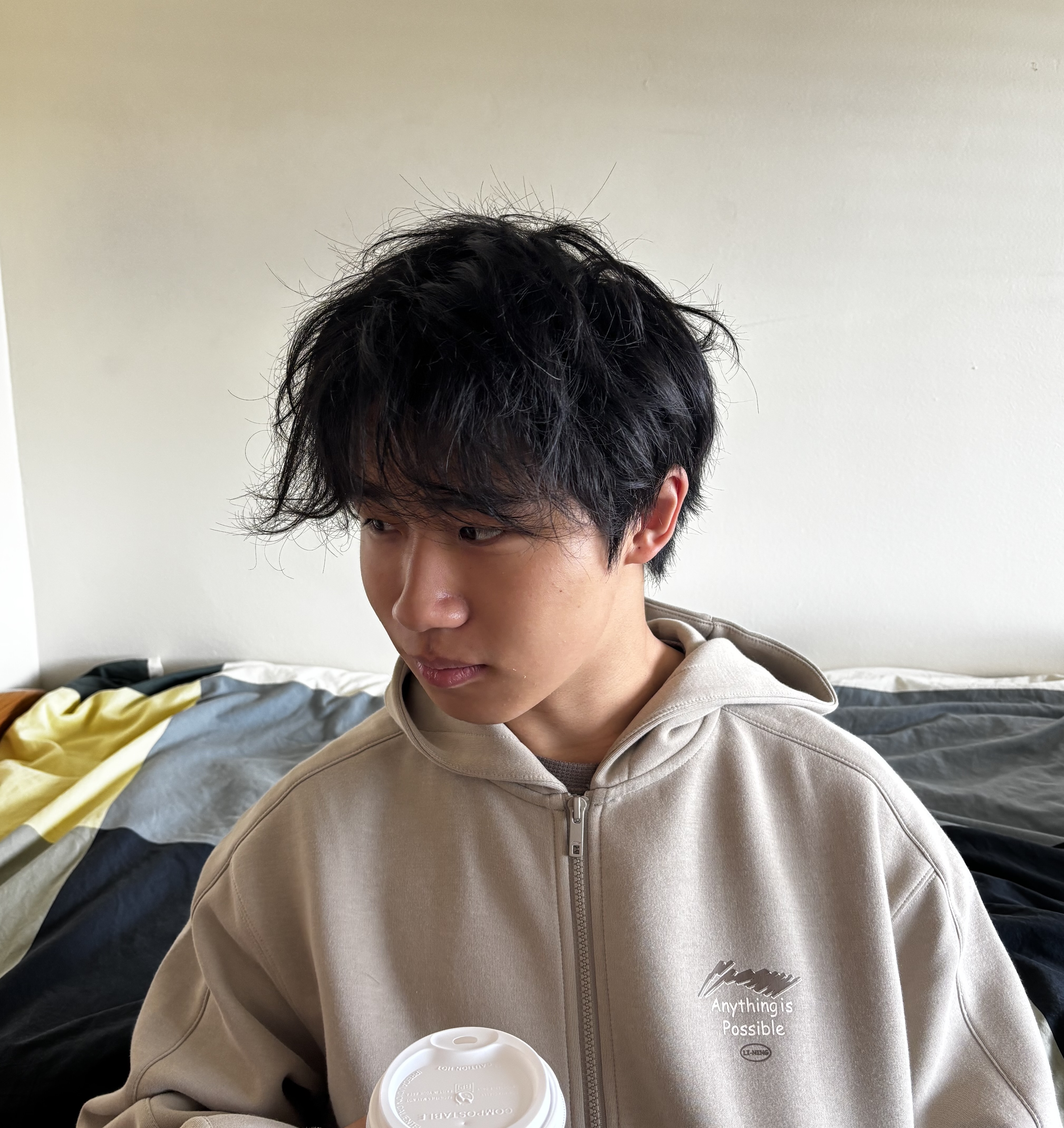 Mingche Li